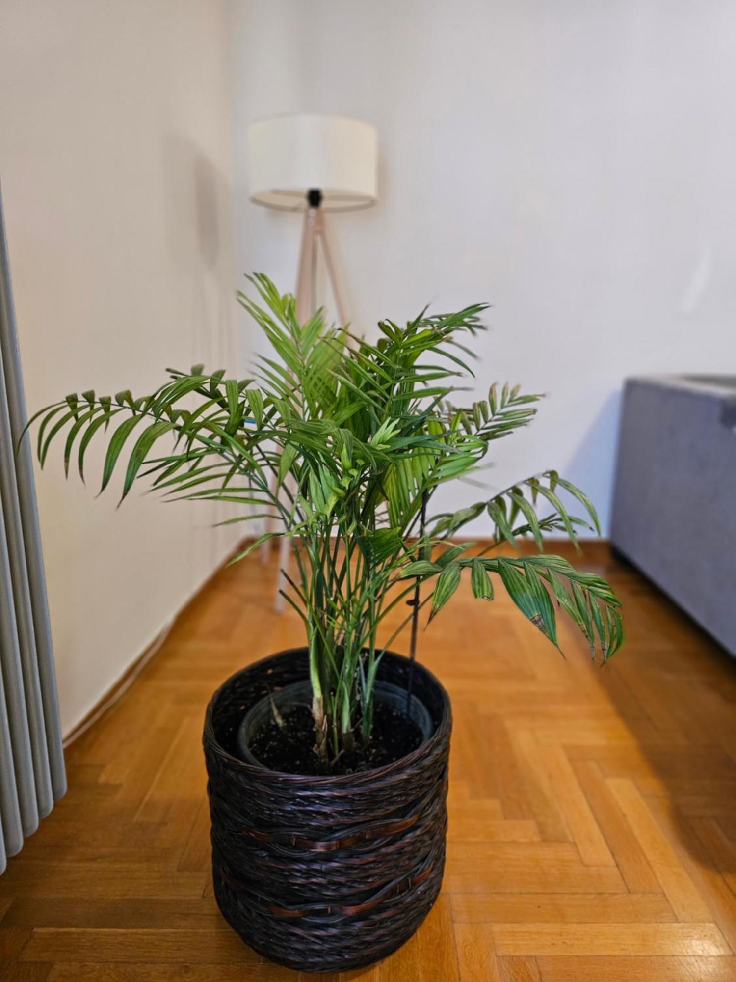קלמאטה Cosy Apartment In The Heart Of The City מראה חיצוני תמונה